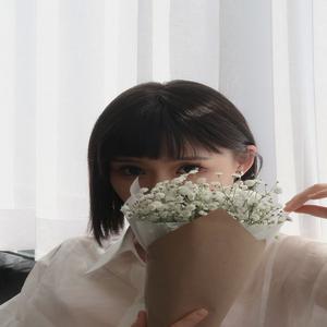 鲍朋月
