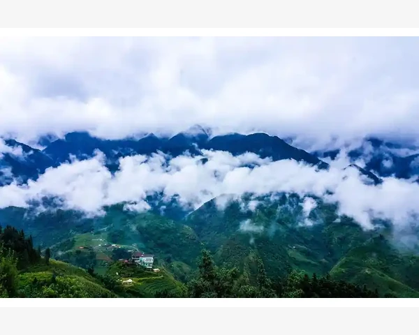 白萝卜与何物搭配可助化痰？中医谈背后的奥秘